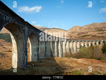 Glenfinnan Viadukt, erbaut 1898, liegt an der Spitze von Loch Shiel und trägt der West Highland Line und Erbe Jacobite Dampfzug von Mallaig. Stockfoto