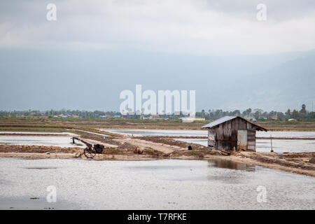 Kampot Salzfelder, Kambodscha Stockfoto