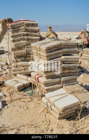 Salz Platten der Bergleute in der Salzwüste in der danakil Depression in Äthiopien. Stockfoto