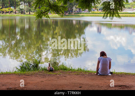 Rückansicht des Junges Mädchen, einsame junge Frau, sitzen auf dem Lake Shore, mit Ente auf Banken, Lago (See) Das garças, Parque (Park) Ibirapuera, Brasilien Stockfoto