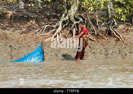 Angelboote/Fischerboote richten Sie ihre Garnelen Larven (BRJ) Netze in Shibsha Fluss, Bangladesch. Stockfoto