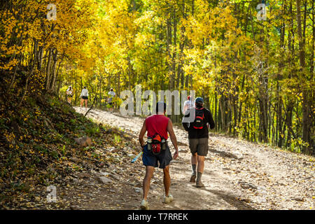 Geher auf Trail, flankiert von Espen in Herbst Farben, Aspen Vista Trail, Santa Fe, New Mexico, USA Stockfoto