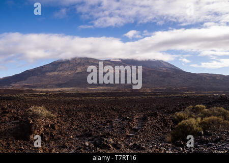Lava Steine und Felsen rund um den Vulkan von der generischen Pflanzen bedeckt. Gipfel des Pico del Teide von weißen Wolken umgeben. Nationalpark Teide, Tenerif Stockfoto
