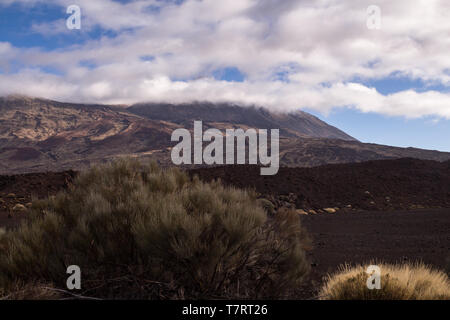 Lava Steine und Felsen rund um den Vulkan von der generischen Pflanzen bedeckt. Gipfel des Pico del Teide von weißen Wolken umgeben. Nationalpark Teide, Tenerif Stockfoto