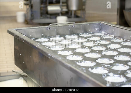 Lebensmittelindustrie. Gärung der Käse in einem Tank aus Edelstahl. Stockfoto