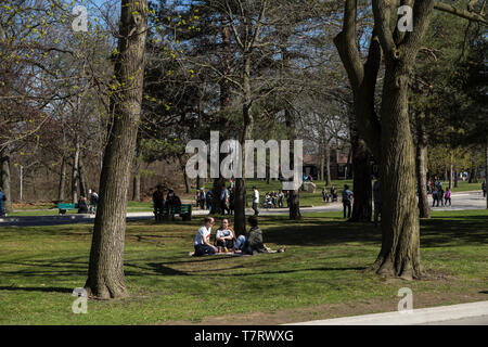 Familien gehen unter Bäumen Toronto High Park Kirschblüten Stockfoto