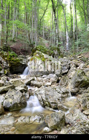 Wasserfall in der Nähe von Bad Ischl im Salzkammergut in Österreich Stockfoto