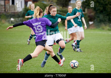 ALDI gesponsert Christie Meisterschaften, ist eine jährliche Sportveranstaltung zwischen den Universitäten Leeds, Liverpool und die heimmannschaft von Manchester statt Stockfoto