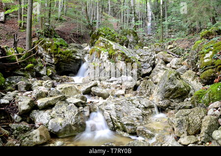 Wasserfall in der Nähe von Bad Ischl im Salzkammergut in Österreich Stockfoto