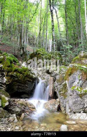 Wasserfall in der Nähe von Bad Ischl im Salzkammergut in Österreich Stockfoto