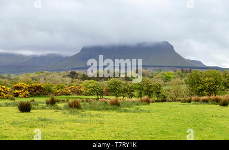 Benbulbin oder Benbulben, einem großen abgeflachter Felsbrocken durch niedrig hängende Wolken verhüllt, Mullaghmore Halbinsel, County Sligo, Irland. Stockfoto