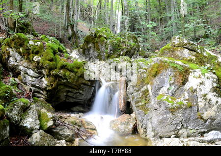 Wasserfall in der Nähe von Bad Ischl im Salzkammergut in Österreich Stockfoto