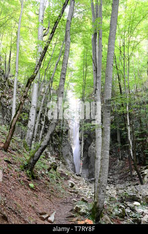 Wasserfall in der Nähe von Bad Ischl im Salzkammergut in Österreich Stockfoto