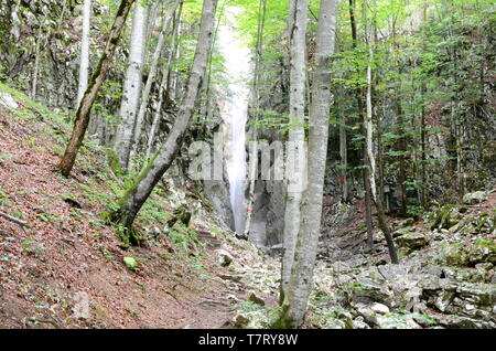 Wasserfall in der Nähe von Bad Ischl im Salzkammergut in Österreich Stockfoto