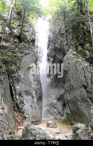 Der Wasserfall war einer der Lieblingsorte der Kaiserin Elisabeth von Österreich, die sich in der Nähe viele Sommer in Bad Ischl verbrachte Stockfoto