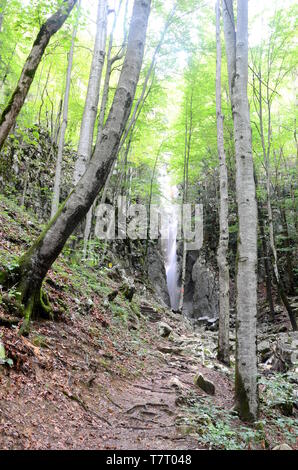 Wasserfall in der Nähe von Bad Ischl im Salzkammergut in Österreich Stockfoto