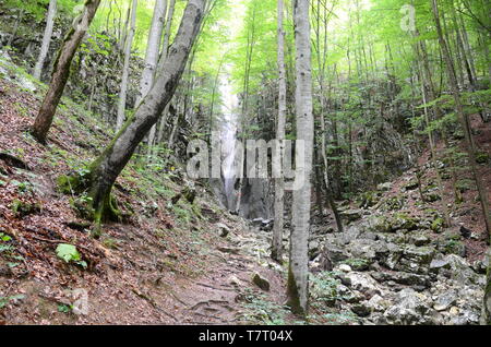 Wasserfall in der Nähe von Bad Ischl im Salzkammergut in Österreich Stockfoto