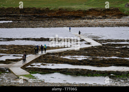 Touristen über den Damm nach dem Brough von Birsay bei Ebbe aus Orkney Mainland in Schottland, Großbritannien Stockfoto