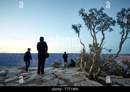 Wahrzeichen der Grand Canyon National Park South Rim steile Schlucht geschnitzt von den Colorado River in Arizona, Usa Stockfoto