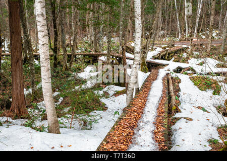 Mountain Trail mit Schnee im Okuhida Dörfer Shinhotaka Seilbahn in der Präfektur Gifu, Japan Park im Grünen Frühling Tag Stockfoto