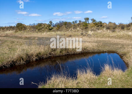 Nordsee Insel Juist, Ostfriesland, Marsh Landschaft am östlichen Ende der Insel, Kalfamer Naturschutzgebiet, Niedersachsen, Deutschland, Stockfoto