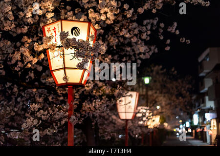 Kyoto, Japan - April 9, 2019: Nahaufnahme von roten Papier Laternen leuchten mit Cherry Blossom Blüte Bäume am Fluss Kamo während Hanami Festival Stockfoto