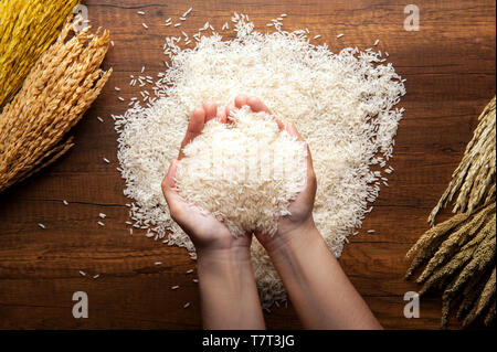 Blick von oben auf die Hand voll von Jasmin Reis auf dunklen Holztisch mit Reis pflanzen, Ohr von rices mit Jasmin Reis. Stockfoto
