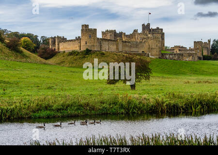 Alnwick Castle aus über den Fluss Aln im Spätsommer. Alnwick, Northumberland, Großbritannien. Oktober 2018. Stockfoto