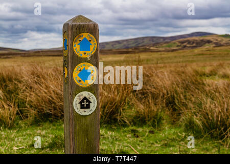 Ein Pfosten, der eine öffentliche Autobahn markiert und die Wanderroute von St Cuthbert's Way in den Cheviot Hills, Northumberland, Großbritannien. Mai 2019. Stockfoto