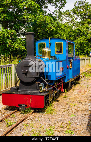 Schmalspur Motor bei Heatherslaw Light Railway, Ford & The Metal Fincas, Northumberland, Großbritannien. Juni 2018. Stockfoto