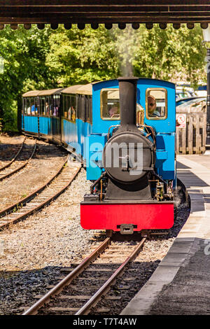 Schmalspur Motor bei Heatherslaw Light Railway, Ford & The Metal Fincas, Northumberland, Großbritannien. Juni 2018. Stockfoto