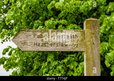 Holz- Öffentlichen Fußweg zu Heatherslaw in Northumberland, Großbritannien. Mai 2018. Stockfoto