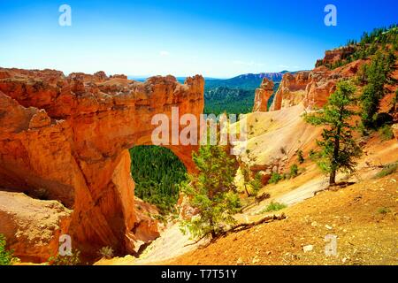 Bryce Canyon Nationalpark Stockfoto