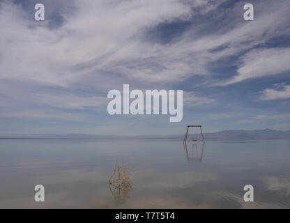 Allein in Salton Sea Kalifornien Stockfoto