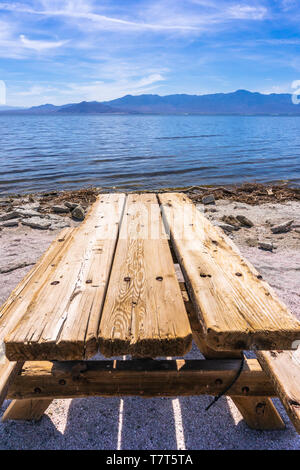 Allein in Salton Sea Kalifornien Stockfoto