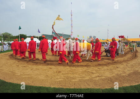 Bangkok, Thailand. 9. Mai, 2019. Rinder Land Pflug während der jährlichen Pflügen Zeremonie in Sanam Luang in Bangkok, Thailand, 9. Mai 2019. Die jährliche Veranstaltung markiert den Beginn der Vegetationsperiode für Reis in Thailand. Credit: Rachen Sageamsak/Xinhua/Alamy leben Nachrichten Stockfoto