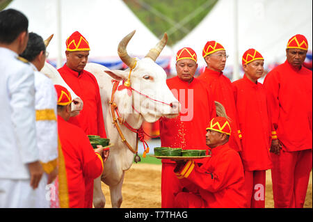 Bangkok, Thailand. 9. Mai, 2019. Thailändischen Beamten gekleidet in traditionellen Kostümen nehmen an der jährlichen Pflügen Zeremonie in Sanam Luang in Bangkok, Thailand, 9. Mai 2019. Die jährliche Veranstaltung markiert den Beginn der Vegetationsperiode für Reis in Thailand. Credit: Rachen Sageamsak/Xinhua/Alamy leben Nachrichten Stockfoto