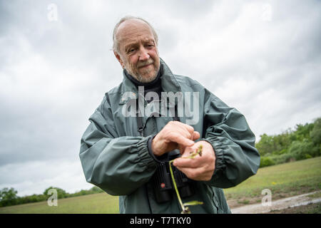 Kappel Grafenhausen, Deutschland. 09 Mai, 2019. Dietmar Keil, Biologe und Filmemacher, hält einen Spider Orchid in seine Hand auf den Taubergießen orchid Wiese, die aus der Erde gezogen wurde. Vom Naturschutzgebiet in Südbaden, gestohlen Diebe haben Tausende von orchid Knollen im Wert von geschätzten 250.000 Euro. Credit: Fabian Sommer/dpa/Alamy leben Nachrichten Stockfoto