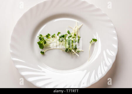 Ein Haufen von frischen Rettich Rosenkohl oder kaiware Daikon auf weißem Teller. Vegan Konzept Stockfoto