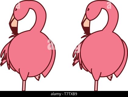 Exotische rosa flämische Paar Vögel schlafen Vector Illustration Design Stock Vektor