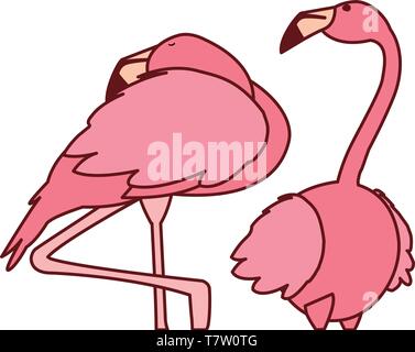 Exotische rosa flämische Paar Vögel schlafen Vector Illustration Design Stock Vektor