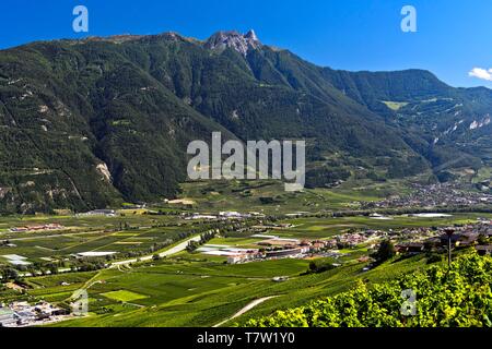 Das Pierre Avoi Gipfel erhebt sich über dem Rhonetal im Sächsischen, Wallis, Schweiz Stockfoto