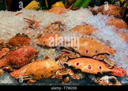 Krabben auf Eis, Thai Food, Thailand Stockfoto