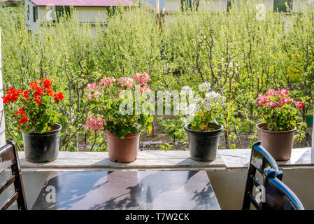 Foto der bunten Landschaft mit hohen Berge des Himalaja Blick von restorent Stockfoto