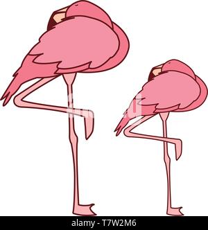 Exotische rosa flämische Paar Vögel schlafen Vector Illustration Design Stock Vektor