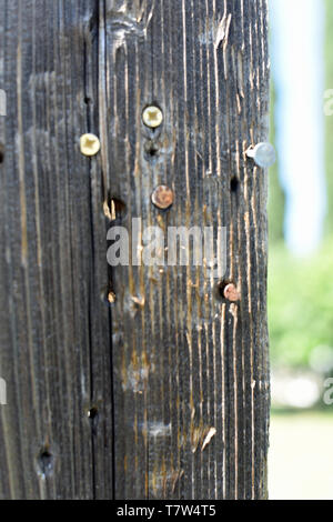 Holzzaun Plank Stockfoto