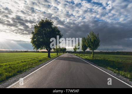 Leere Straße gehen durch grüne Felder und Baumreihen, unter einem Frühjahr Sonnenuntergang piercing ein bewölkter Himmel, in der Nähe von Schwäbisch Hall, Deutschland. Stockfoto