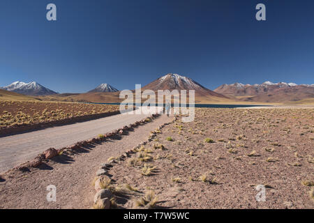 Eintrag See Miscanti auf dem Altiplano, Atacama, Chile Stockfoto