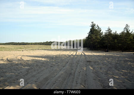 Bledow Wüste (Pustynia Bledowska). Polnisch Dessert zwischen Bledow und die Dörfer von Chechlo und Klucze in Polen. Stockfoto