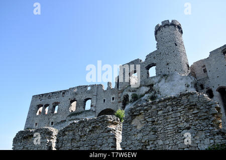 Die Ruinen der Burg von Ogrodzieniec, 'Trail von Nestern der Adler', Polen. Stockfoto